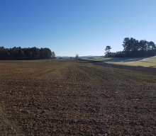 Jahresabschlusswanderung im Pegnitztal – „Weitblicke genießen“